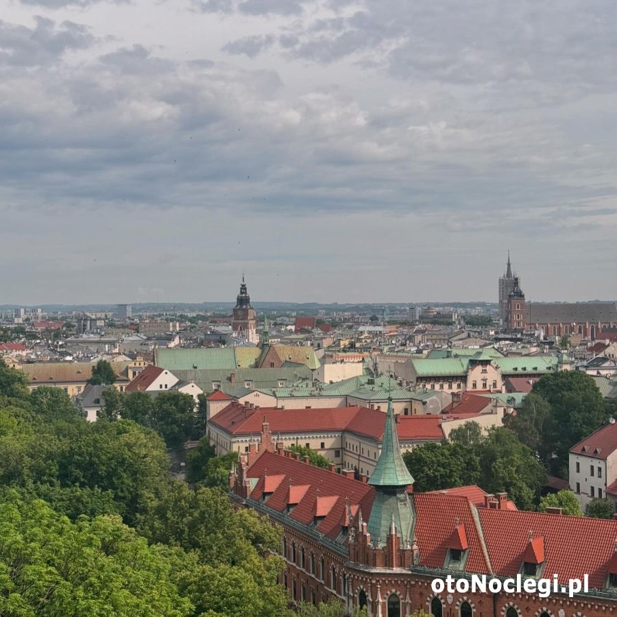 Kraków – najlepsze atrakcje dla najmłodszych. Miasto oczami dziecka - zdjęcie główne